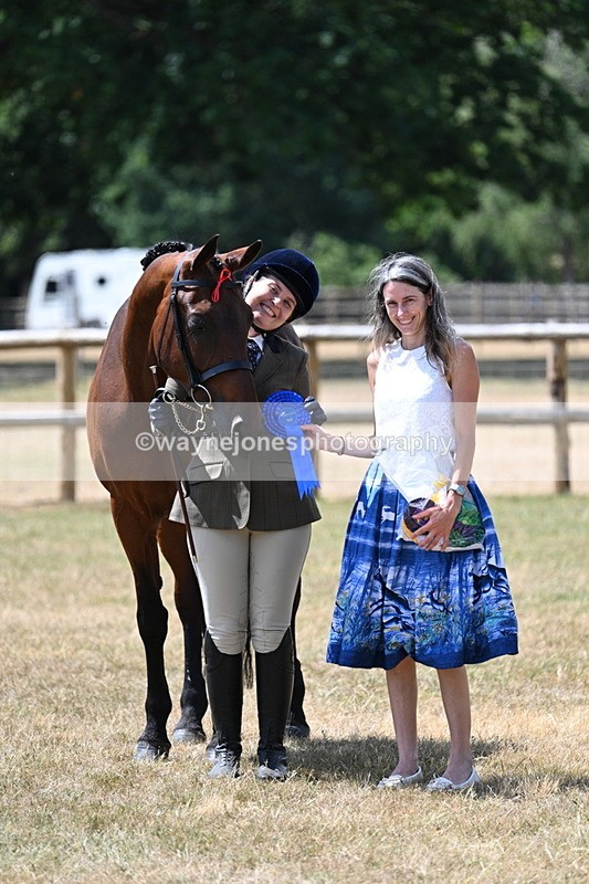 WJ7_2029 - Class 4a Prettiest Mare 14.2hh and over hand