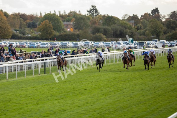 111024-Race 3-Minstrel Knight-6875 - Race 3 2.40pm William Hill Finale Handicap
