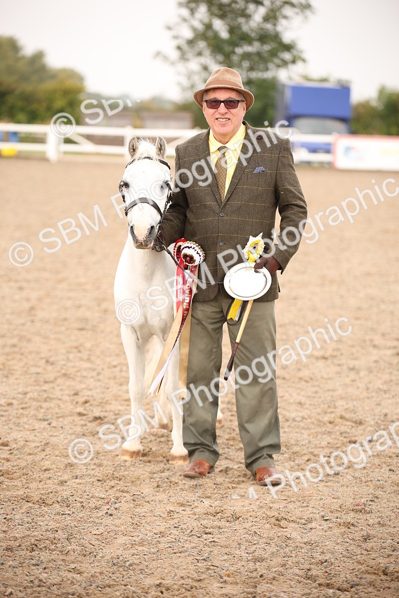 SBM_20730 - Class 705 - IH  Combination 65+