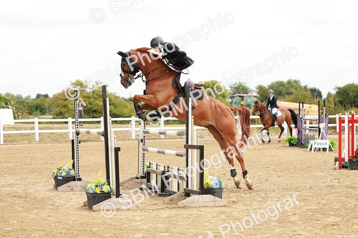 SBM_017312 - Class 21 - Senior Newcomers Championship 2d Rd