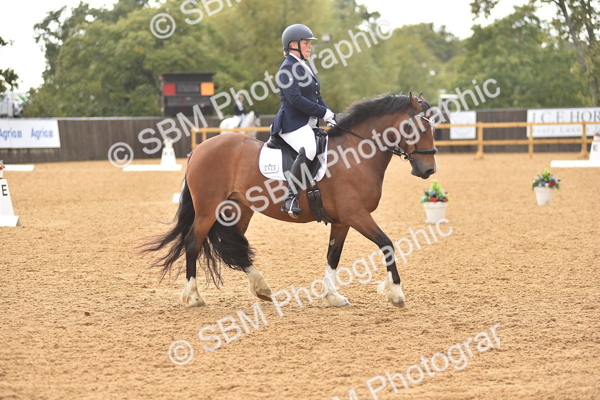 SBM_02091 - D7 - Small Tour Championship Prelim 2