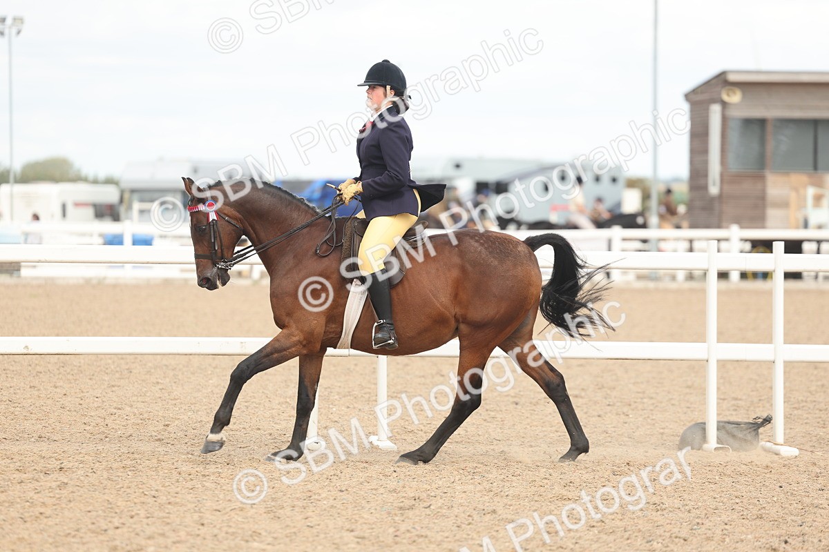 SBM_16013 - Class 311 - Ridden Show pony-Show hunter Pony