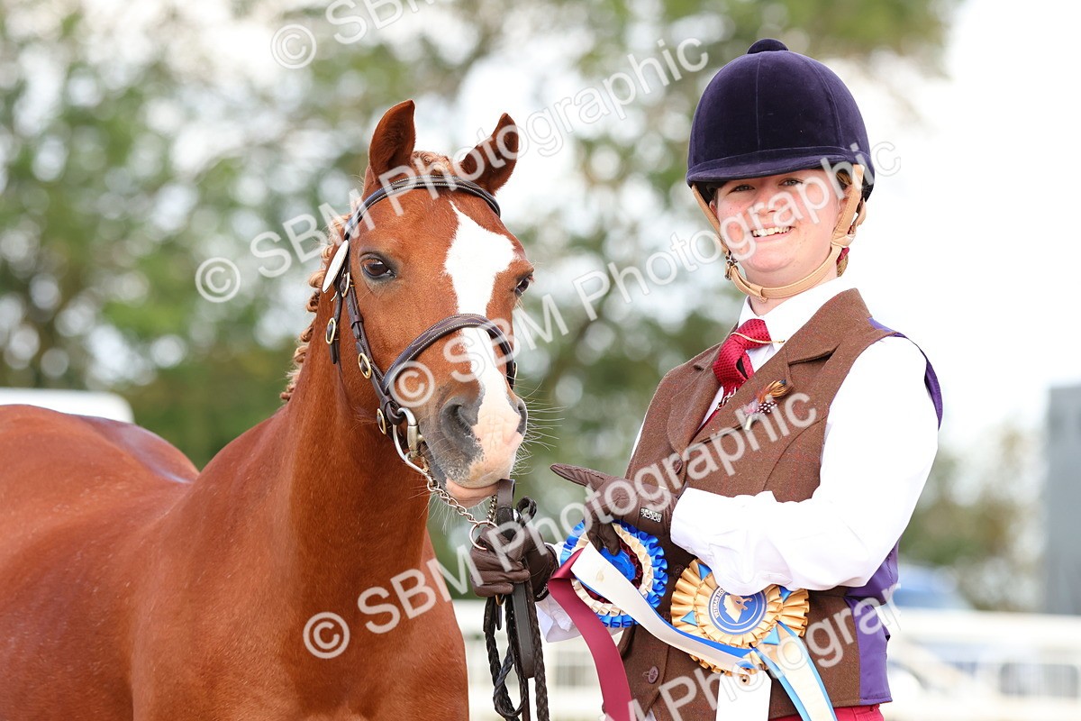 SBM_09243 - Class 204 - Young Handler