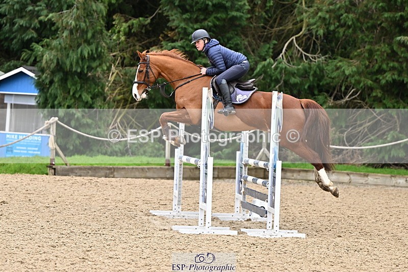 250201A-111334-00359 - Cls 02 Local Horse 100cm