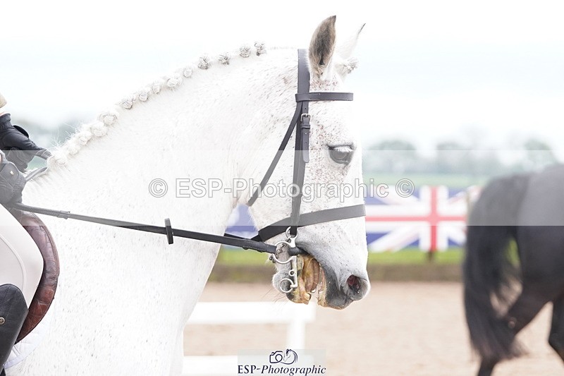 250419-110538-08543 - 513-Willow.Williams-FAYES.CHOICE