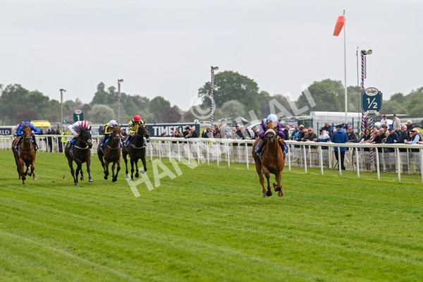 150525-See The Fire-4419 - Race 3 3.13pm Al Basti Equiworld Dubai Middleton Fillies' Stakes
