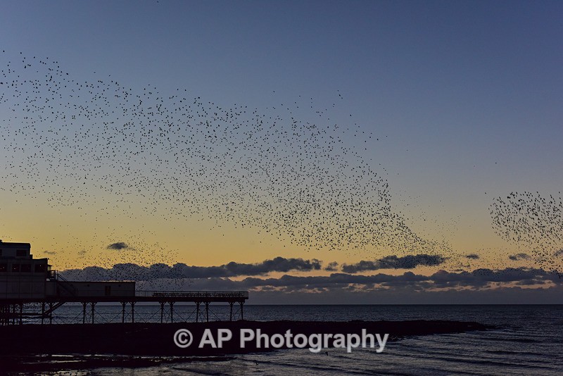 ACP_9135-1 - Aberystwyth
