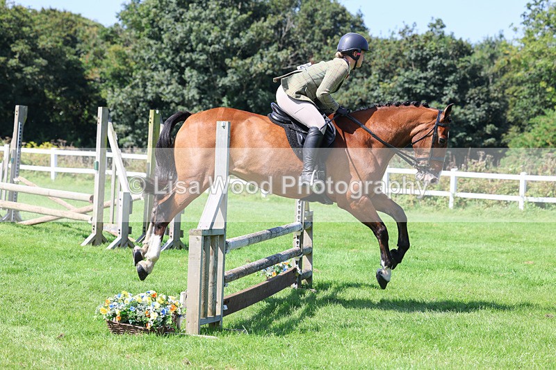3E7A8552 - Class 5: Working Show Horse