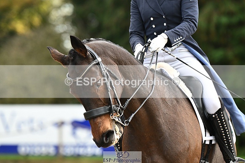 231110-152326-02169 - Cls 11 FEI PSG