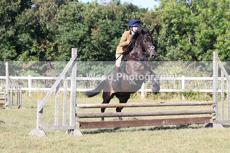 3E7A5483 - Class 3: Working Hunter 70cm