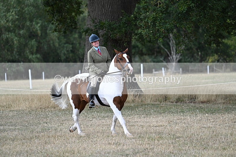 WJ7_7219 - Class 14 Ridden Coloured