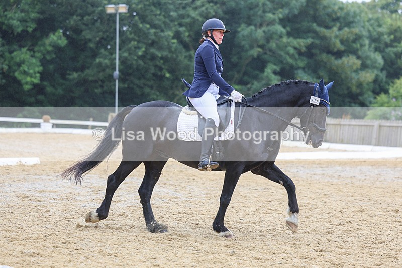 3E7A9923 - Class 6: Novice 3 2024 Section B