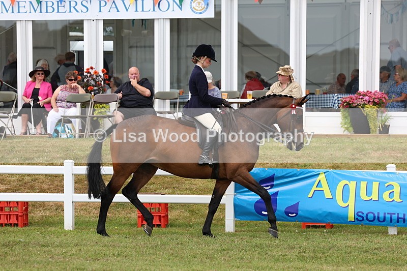 3E7A0808 - Class 8: Open Riding Horse/Hack