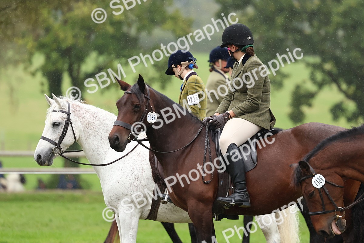SBM_69682 - S62 - Mountain & Moorland Ridden Large Breeds