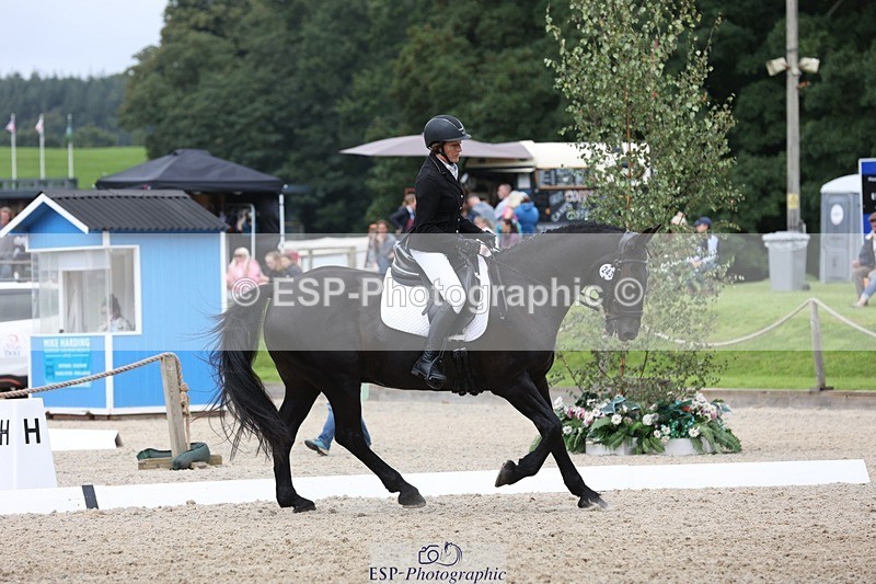 230812-123702-04055 - Cls 5 Novice Bronze 11.15 to 12.50 break