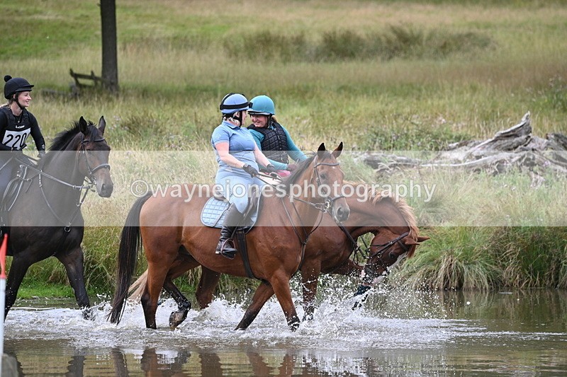 WJ7_3437 - Time at Water 12:15 to 12:50