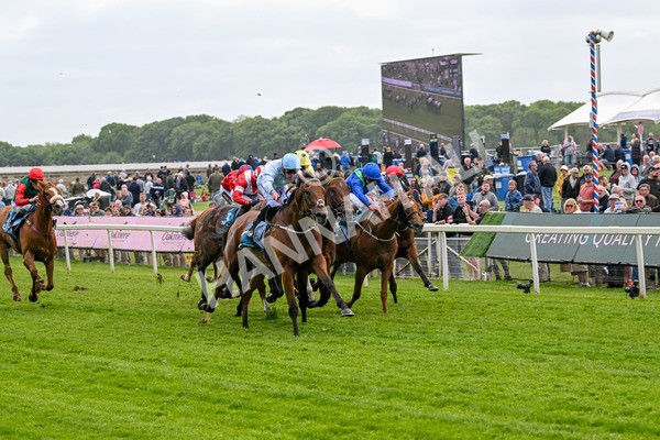 150525-Old Cock-4065 - Race 2 2.42pm Oakmere Homes Hambleton Handicap