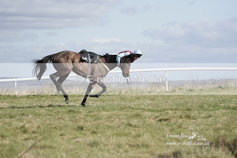 PtP 260223 489 - South & West Wilts Point-to-Point Larkhill 26/02/23