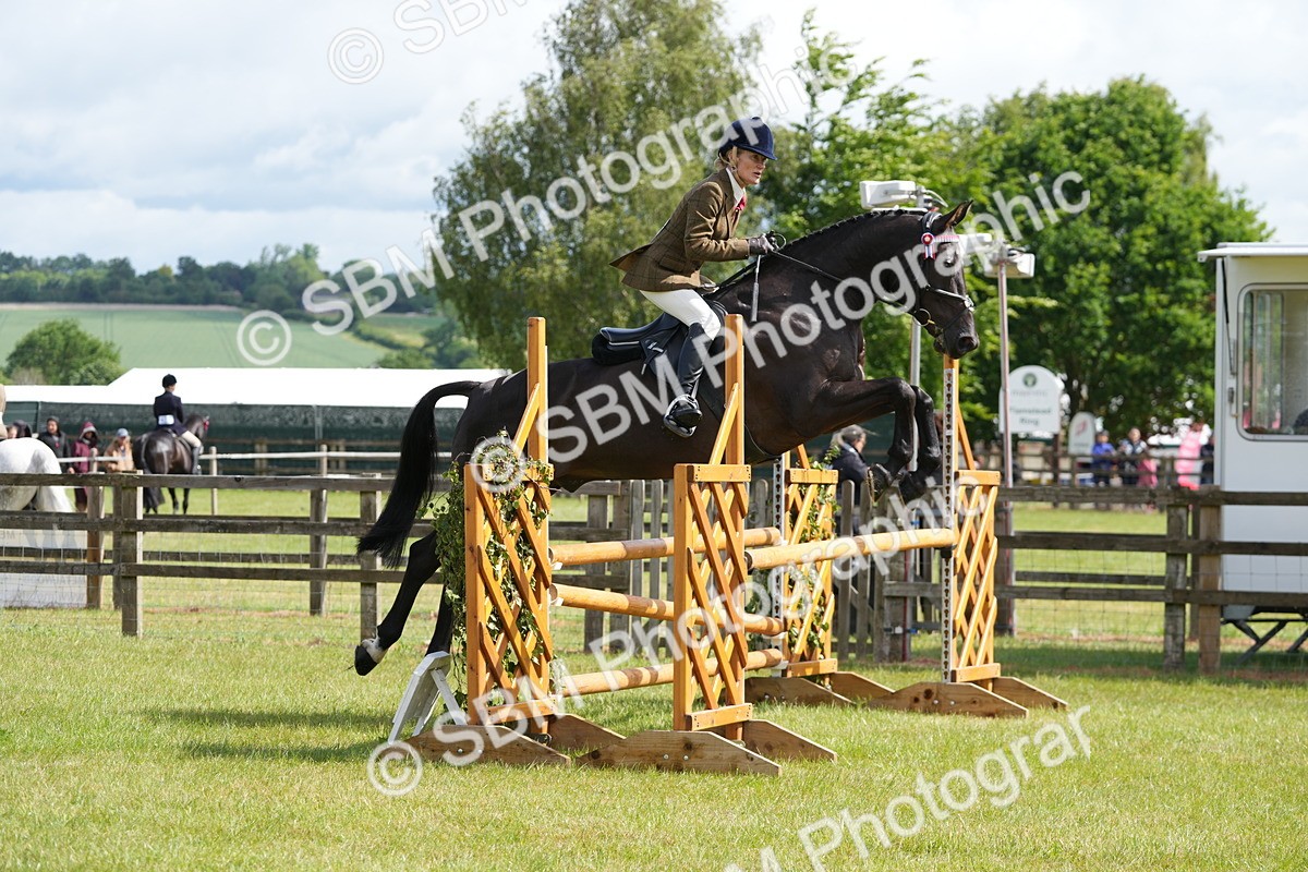 SBM_12893 - Class 99 - RIHS SEIB Working Show Horse