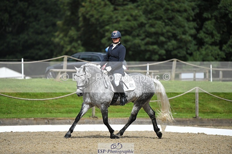 230812-103912-03424 - Cls 6 Novice Silver 10.30 to 11.55 break