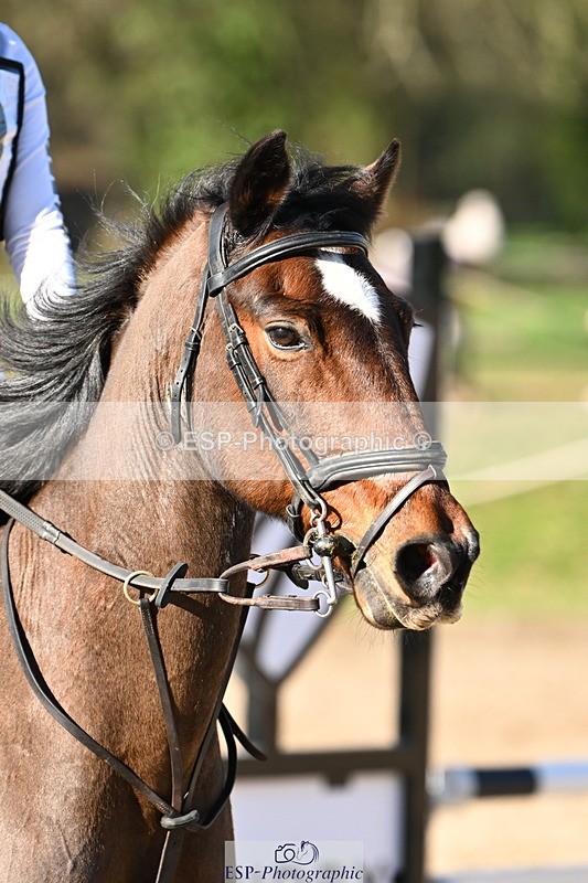 250302A-102938-01503 - Cls 01 70-75cm