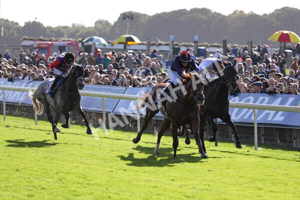 yr08102022r3-34 - Race 3 2.40pm The Coral 'Beaten-by-a-Length' Free Bet Handicap