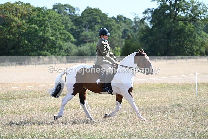 WJ7_2817 - Class 8 Ridden Tack & Turnout