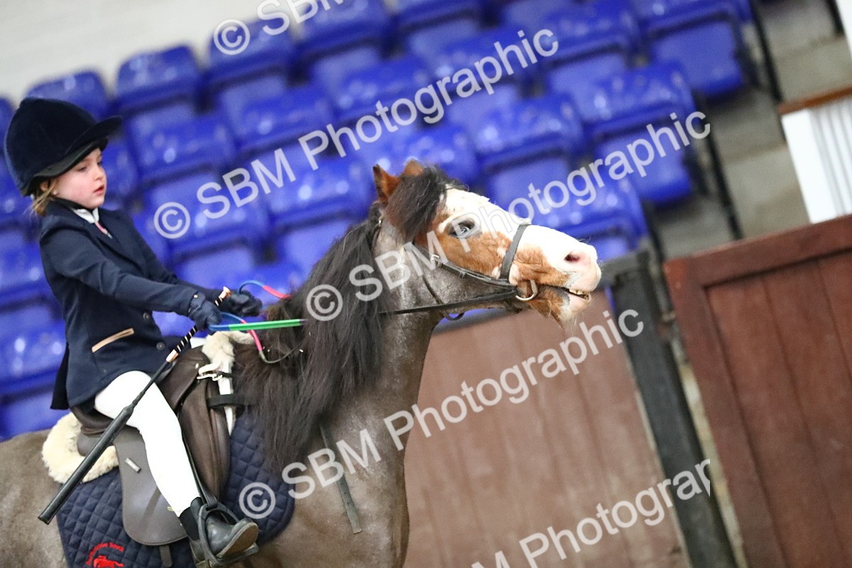 SBM_000550 - Class 2 - 40cm