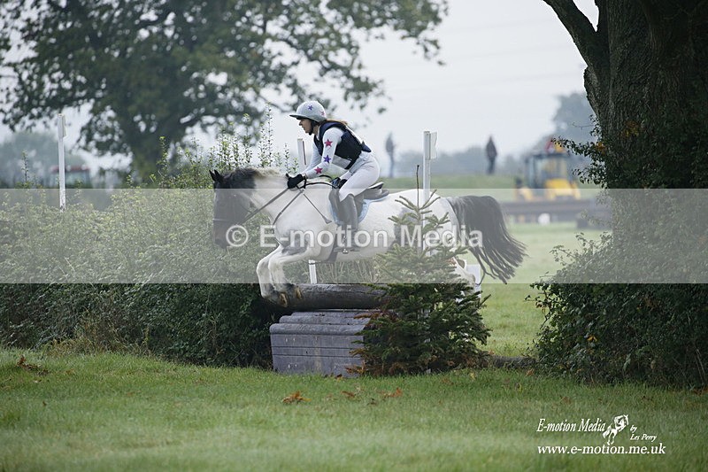 WWHT 171021 0104 - Novice Restricted (0.80m)  17/10/21