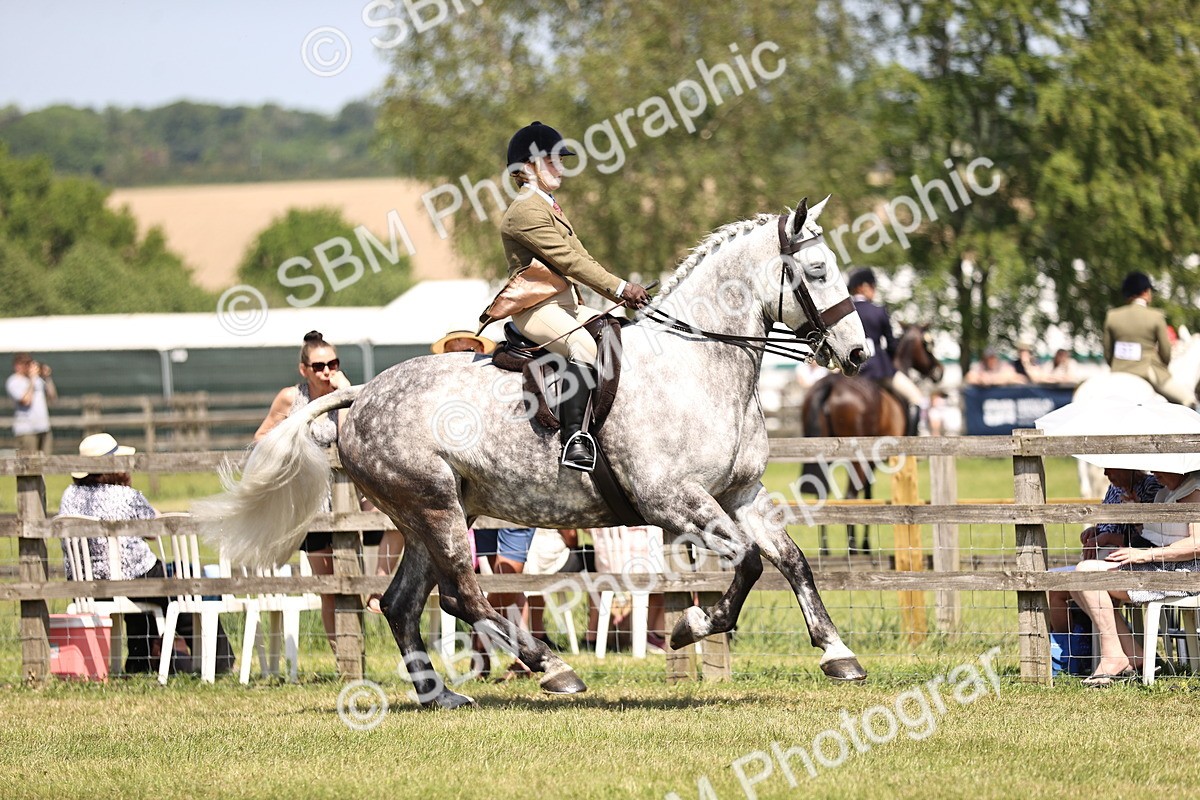 SBM_16140 - Class 79-80 - LIHS BSHA Rising Star Ridden Hunter