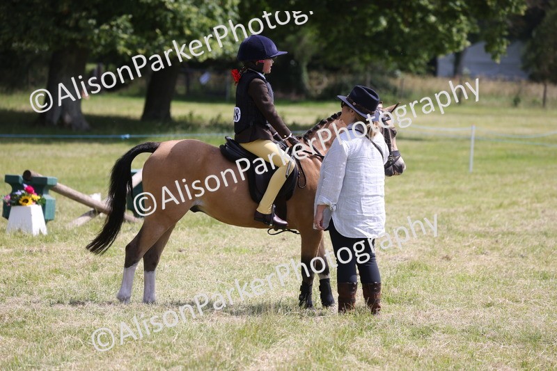 20260614-1901 - Class 21 - Novice Working Hunter Pony