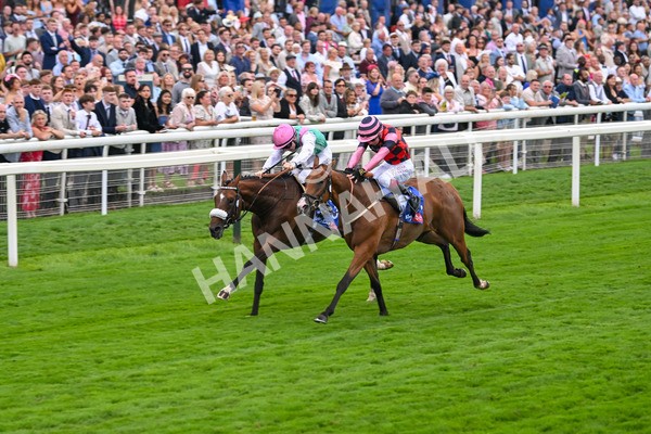 230825-Race 2-Tarriance-0018 - Race 2 2.25pm Sky Bet Melrose Handicap