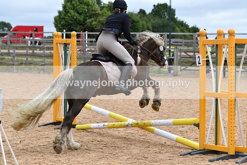 WJ5_6299 - Club 50cm