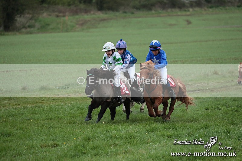 SHETPR 210425 175 - Shetland Ponies Paxford Races 21/04/25