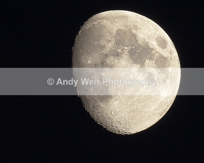 20111106-_MG_7437-2 - Miscellaneous Photographs