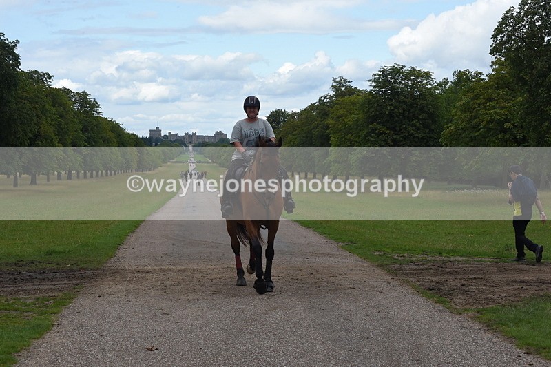 TT3_0464 - Time at Crossing 14:53 to 1526