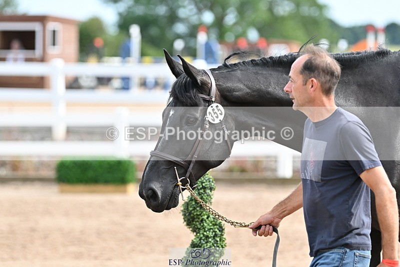 240717A-163646-03448 - Trot Up 4pm to 5pm