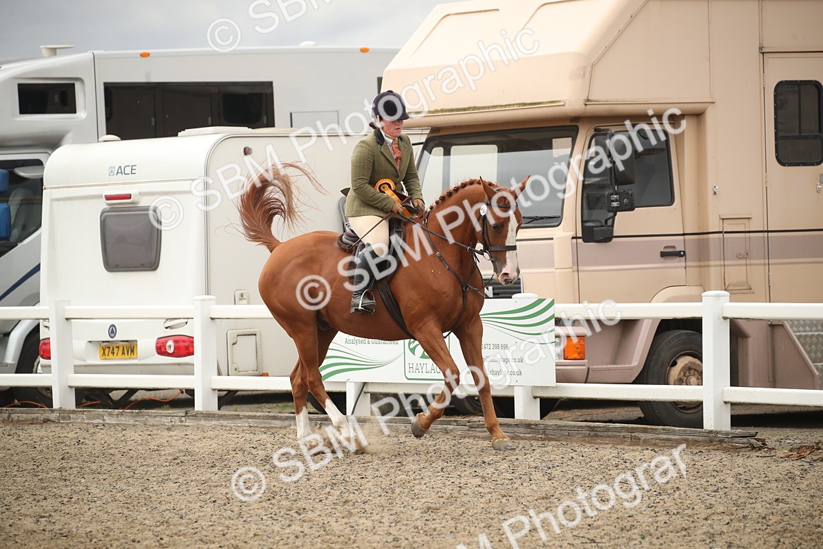 SBM_18487 - Class 510a - Working Veteran 90cm (15-19)