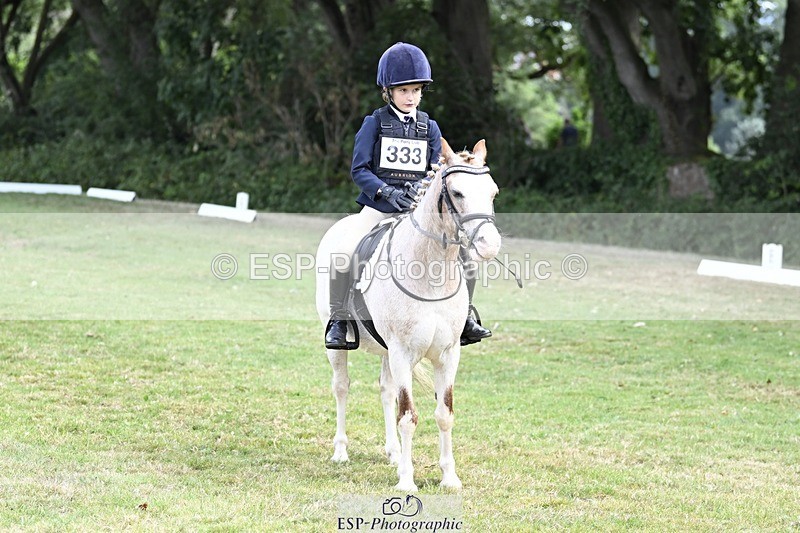 250821A-103131-14390 - DR 10.00 to 11.00