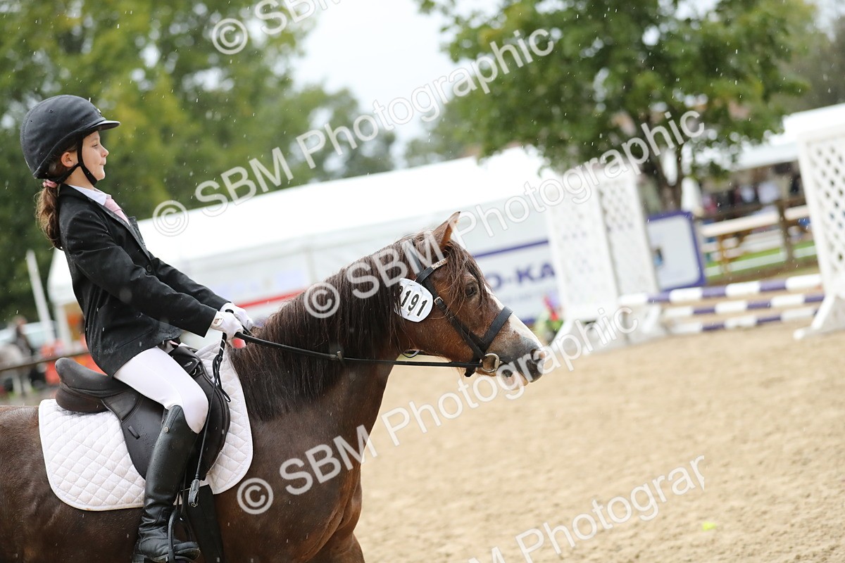 SBM_34369 - J60 Clear Round 50cm