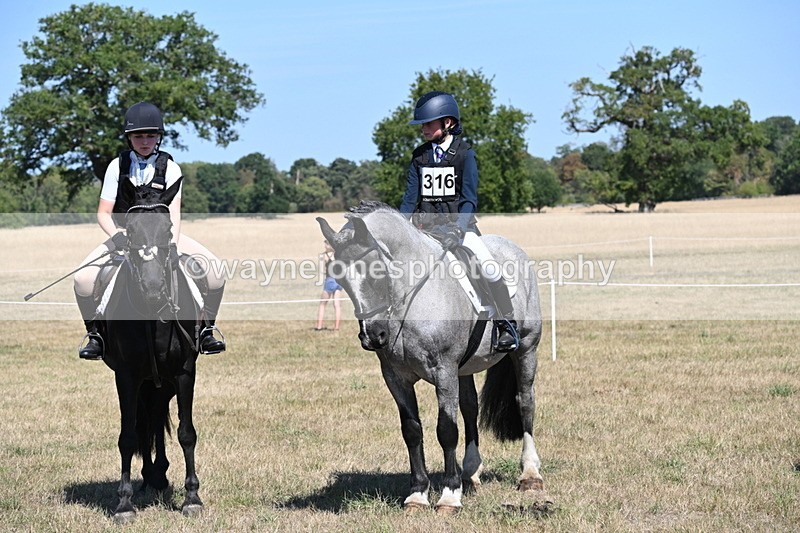 WJ6_8397 - Class 37a Best Loan Pony Ridden