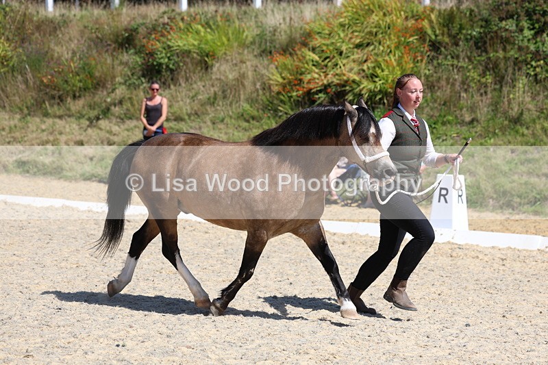 3E7A9684 - Class 32: Best Grass Kept