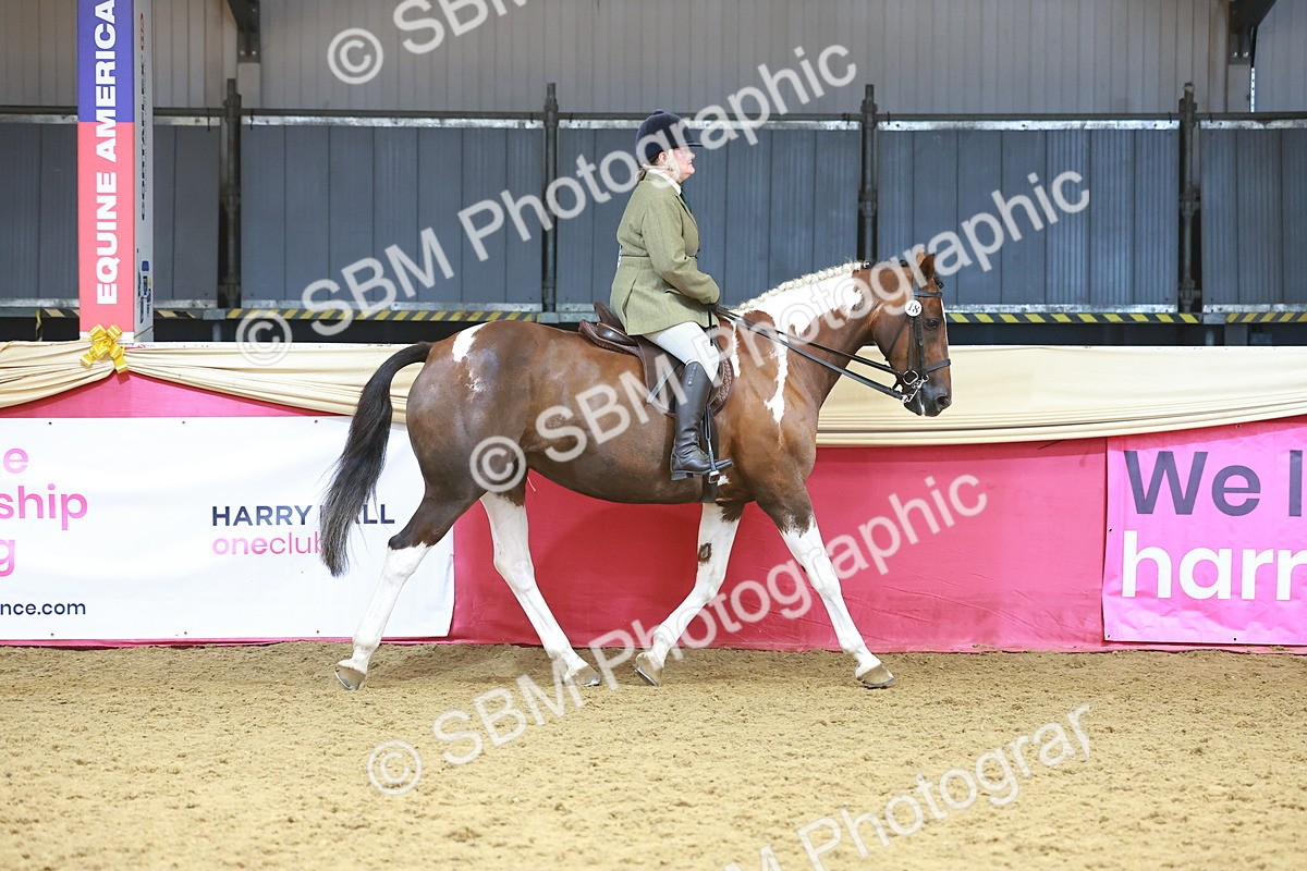 SBM_12426 - Class 103 - HOYS Veteran Qualifier - Ridden Pre Vet