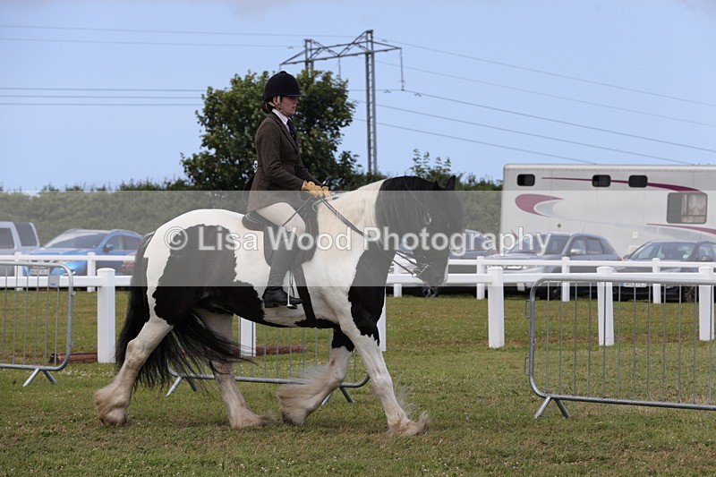 1X9A4312 - Class 34: Veteran Ridden