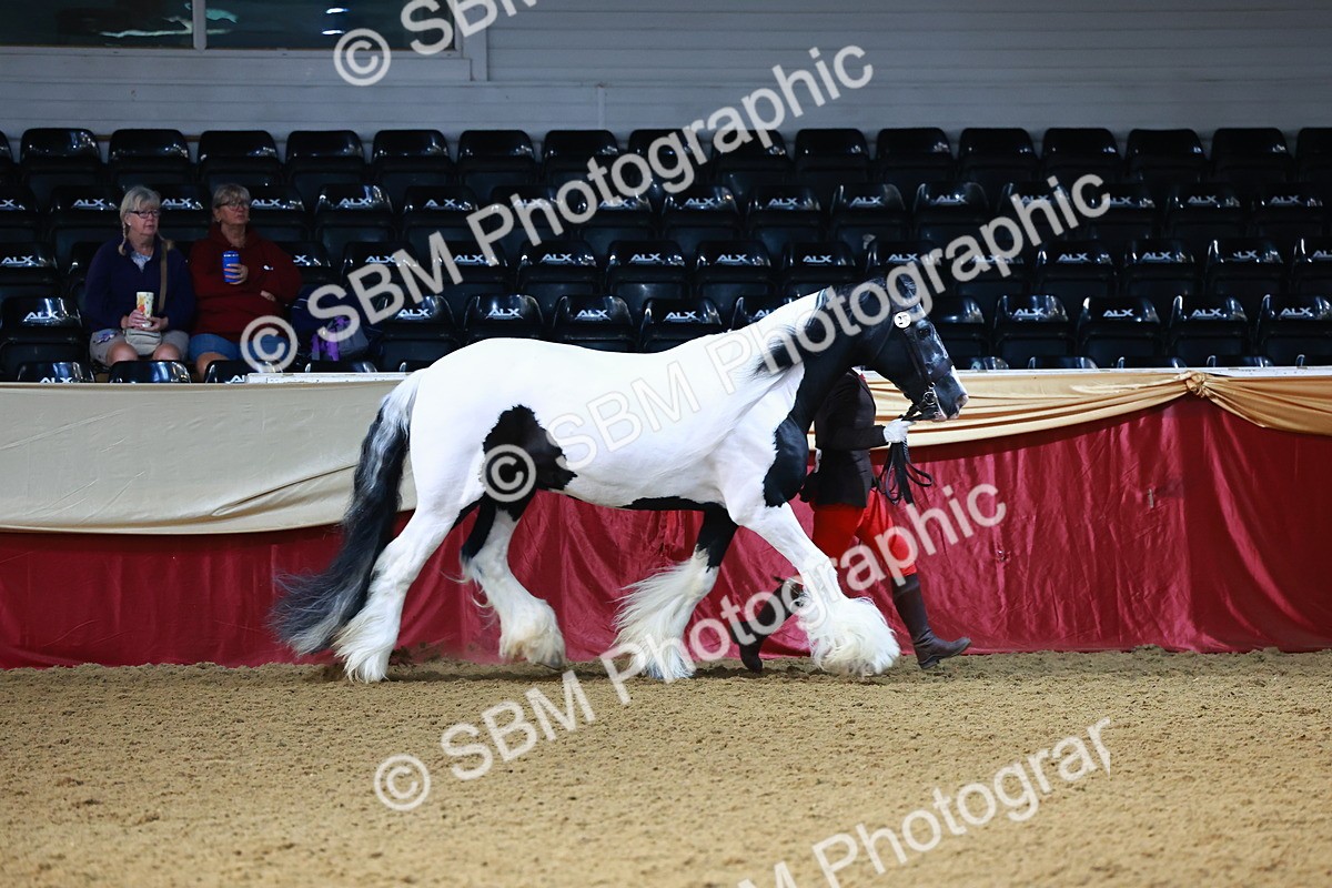 SBM_21684 - Class 901 - Supreme Final - IH  Diamond