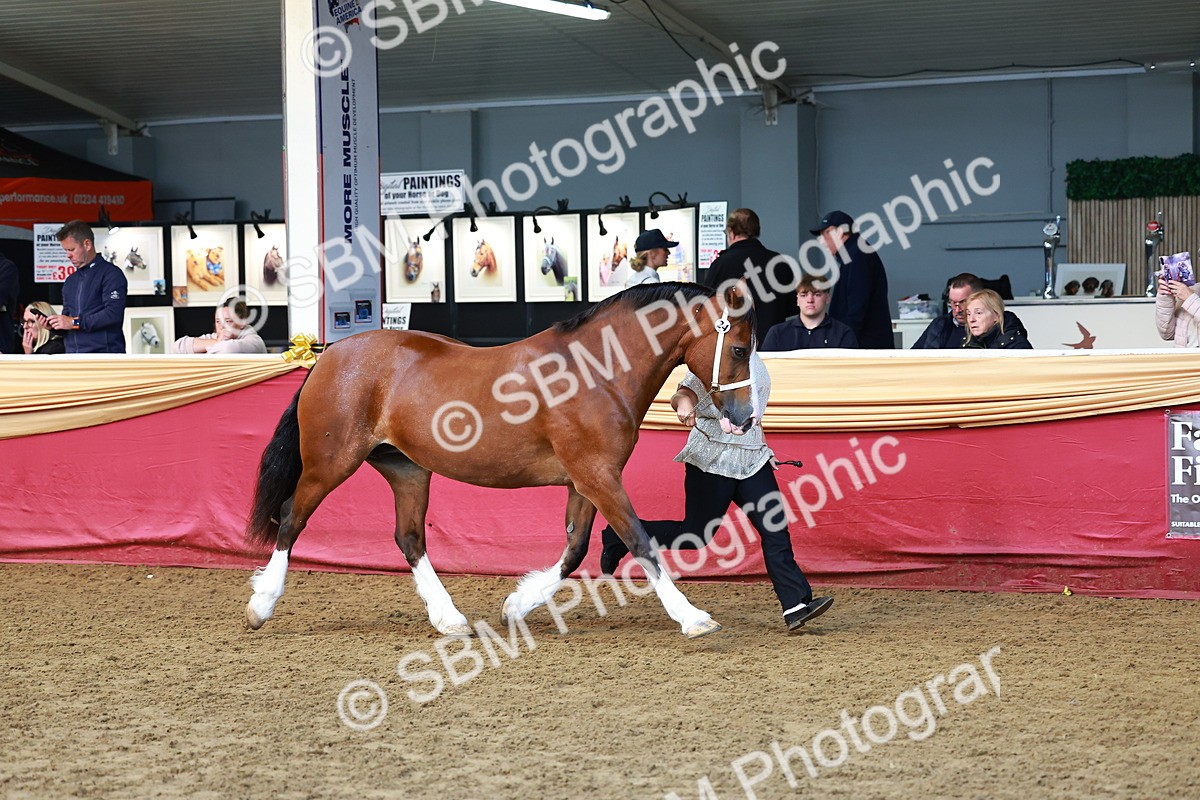 SBM_17286