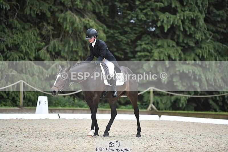 230525-142350-03140 - 320-CAVALIER_GUNFIRE-Tabitha_Baker-WEDTrotUp+DR