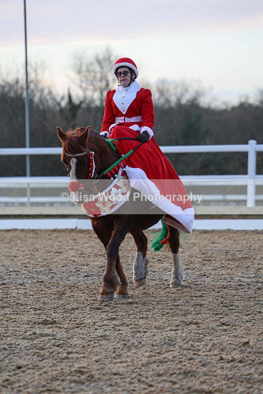 3E7A5017 - Class 5: Novice