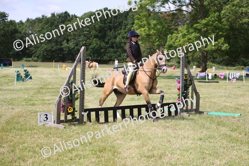 20260614-1889 - Class 21 - Novice Working Hunter Pony