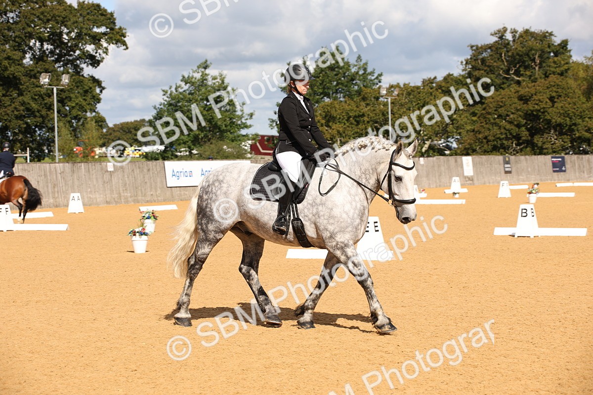 SBM_04286 - D2 Small Tour Championship Intro C
